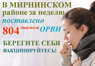 Число заболевших ОРВИ не уменьшается /  Мирный  