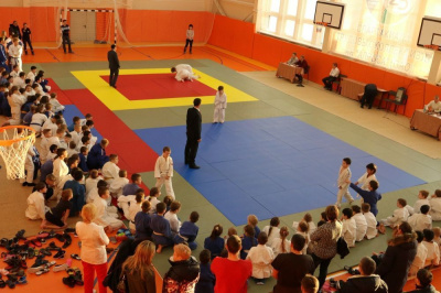 Удачнинских спортсменов ждут выездные соревнования /  Мирный  