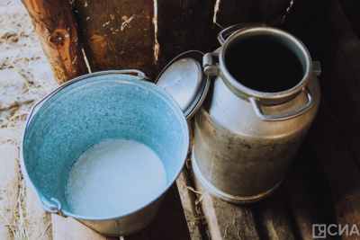 План заготовки молока в Якутии выполнили почти на 70% / ЯСИА   Республика Саха (Якутия)