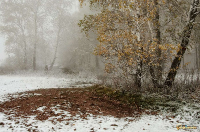 В понедельник нас ожидает сильный ветер /  Мирный  