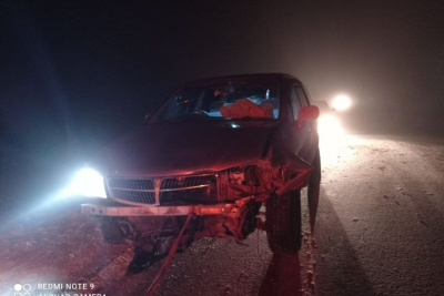 В Якутске по вине пьяного водителя двое детей получили переломы /  Якутск Якутск Республика Саха (Якутия)