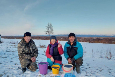 Фотофакт: подснежную голубику собирают в Момском районе Якутии / ЯСИА  Момский Республика Саха (Якутия)