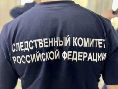 Житель Булунского района осужден к длительному сроку лишения свободы за преступление против половой неприкосновенности малолетней девочки /    