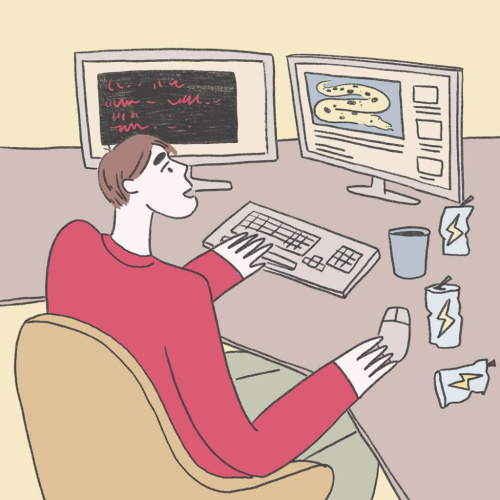 Онлайн-курс Разработка на Python