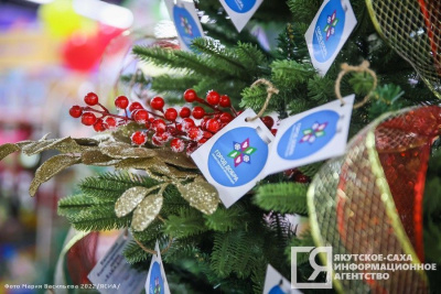 В Якутии стартовала ежегодная акция «Елка добра» /  Якутск Якутск Республика Саха (Якутия)
