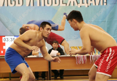 Большой ковер хапсагая /  Мирный  