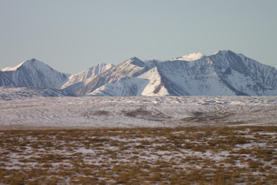 Российско-Азиатский консорциум арктических исследований создадут на СФУР /    