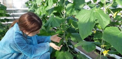 Летний лагерь в Тас-Юряхе получит новую теплицу /  Мирный  