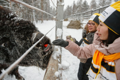 Недропользователь участвует в проекте по расширению ареала распространения животных /  Мирный  