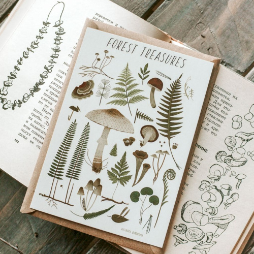 Открытка Дворникова А. "Лесные сокровища" светлая