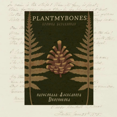 Деревянная брошка Дворникова А. "Шишка"