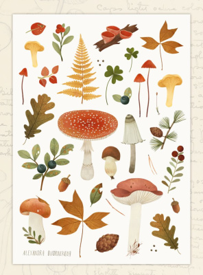 Стикеры Дворникова А. "Мухомор и ягоды"