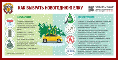 Елку нужно уметь выбирать /  Мирный  