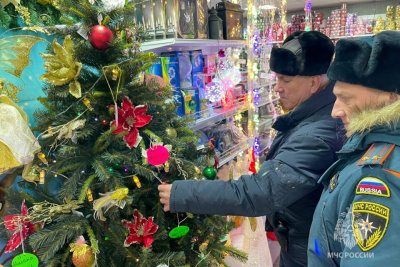 Сотрудники МЧС Якутии приняли участие в акции «Елка добра» /    