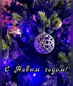 Поздравление руководителя следственного управления Следственного комитета Российской Федерации по Республике Саха (Якутия) с Новым годом /    