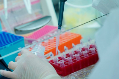 Гинцбург заявил о десятках циркулирующих в России штаммов коронавируса / ЯСИА   