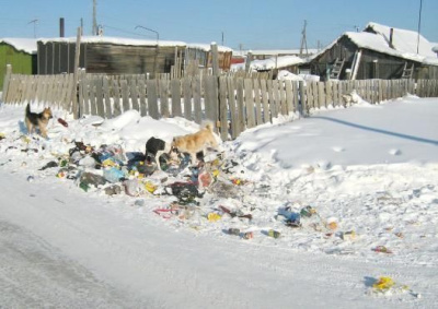 За мусор из автомашин штраф стал жестче /  Мирный  