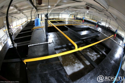 Новые очистные сооружения планируется построить в Усть-Алданском районе Якутии к 2024 году / ЯСИА   