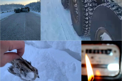 Насмерть замерзшие птицы, лопнувшие шины и массовое ДТП: последствия аномальных морозов в Якутии / Анастасия Филиппова   Республика Саха (Якутия)