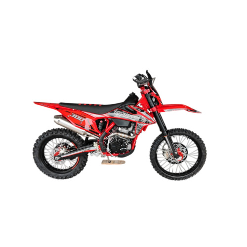 Мотоцикл FIDELIS Et Fortis S5 CBS300 ENDURO