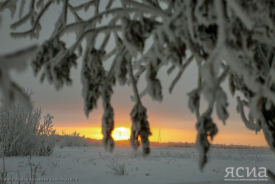 Пока в Якутии была ночь: восемь стран присоединились к санкциям, соцвыплаты для мобилизованных / ЯСИА   Республика Саха (Якутия)