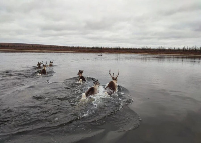 Экологический центр АЛРОСА: пять лет на страже охраны природы / ЯСИА   