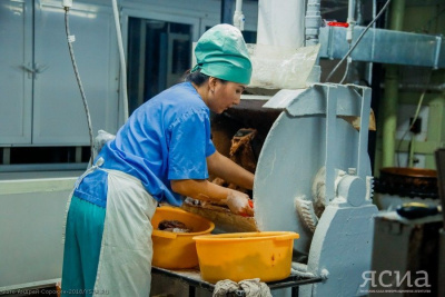 В Год труда в Якутии увеличат число предприятий, участвующих в нацпроекте «Производительность труда» / Виктория Сергеева   Республика Саха (Якутия)