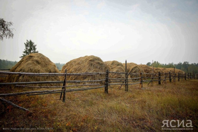 Финансирование мобильных бригад запланировано в Якутии в 2023 году / ЯСИА   Республика Саха (Якутия)