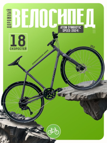 Дорожный велосипед Atom Symbiotic Speed, год 2024, цвет Серый, ростовка 23.5