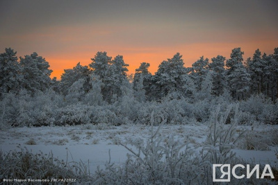 Видеофакт: в якутском селе обнаружили не замерзший в -40 градусов ручей UPD / Анастасия Филиппова   