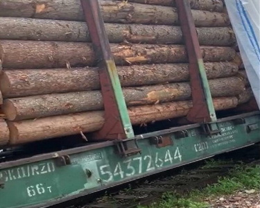 Нарушения при обороте пиломатериалов в Якутии выявили инспекторы Россельхознадзора / ЯСИА   Республика Саха (Якутия)