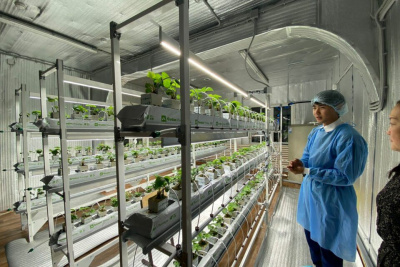 Ирина Петухова: «Ежегодно три выпускника Соттинской школы выбирают агровуз» / ЯСИА   