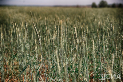 В Якутии выразили готовность сотрудничать с Херсонской областью / Иванова Светлана   Республика Саха (Якутия)