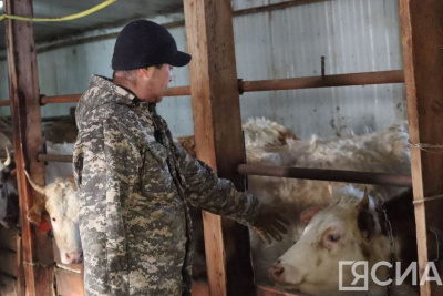 Алко - и наркозависимые проходят трудовую реабилитацию в якутском селе Арылах / Анастасия Филиппова   