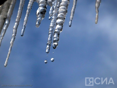 Пять продуктов, которые помогут справиться с весенним авитаминозом / ЯСИА   