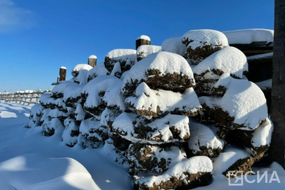 Объясняем новые правила обращения с навозом: кого коснется закон и как избежать штрафа / Иванова Светлана   