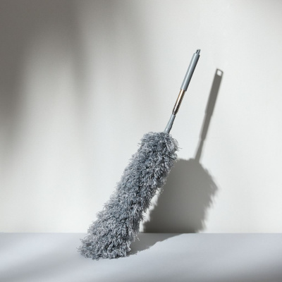 Метелка Paringianu