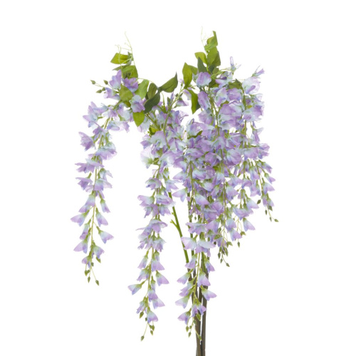 Цветок Ostra II