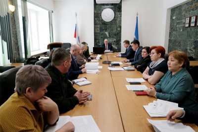 Приюту для безнадзорных животных выделят средства /    