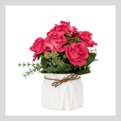 Цветок в горшке Rose Lee