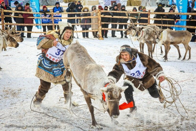 Лучших ловцов оленей определили на чемпионате по оленеводству в Иенгре / Анастасия Филиппова Иенгра Нерюнгринский Республика Саха (Якутия)