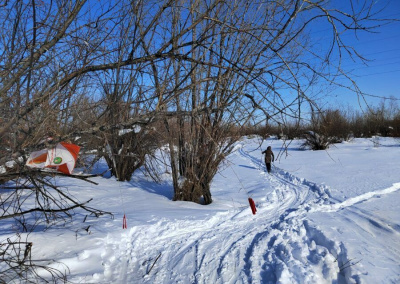 В Якутске состоится первенство по спортивному ориентированию на лыжах среди школьников / ЯСИА Якутск Якутск Республика Саха (Якутия)