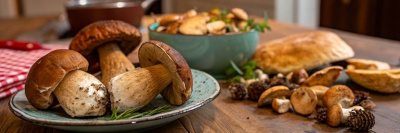 Съедобное-несъедобное: как правильно собирать и покупать грибы