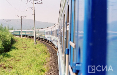 Пассажирка поезда Нижний Бестях – Благовещенск укусила полицейского  / ЯСИА   