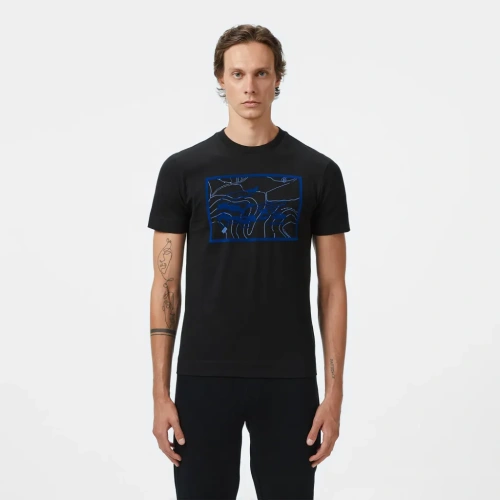 Мужская хлопковая футболка Lacoste REGULAR FIT