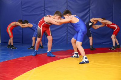 Ведущие борцы страны встретятся в Мирном на турнире на призы АЛРОСА /  Мирный Мирнинский Республика Саха (Якутия)