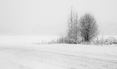 Вновь в районе сильный ветер /    