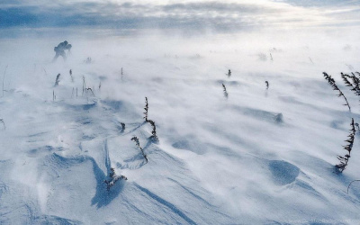 В пятницу обещают сильный ветер и снег /    