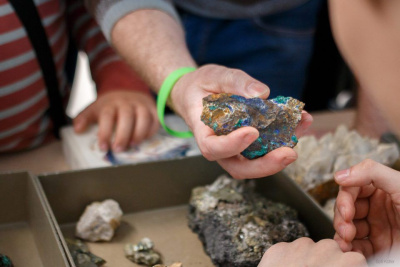 В гимназии Якутска прошла первая олимпиада по геологии / ЯСИА Якутск Якутск Республика Саха (Якутия)