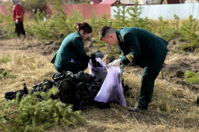 Якутяне высадили 600 сосен для геоглифа «Победа-80» / Мария Горохова   